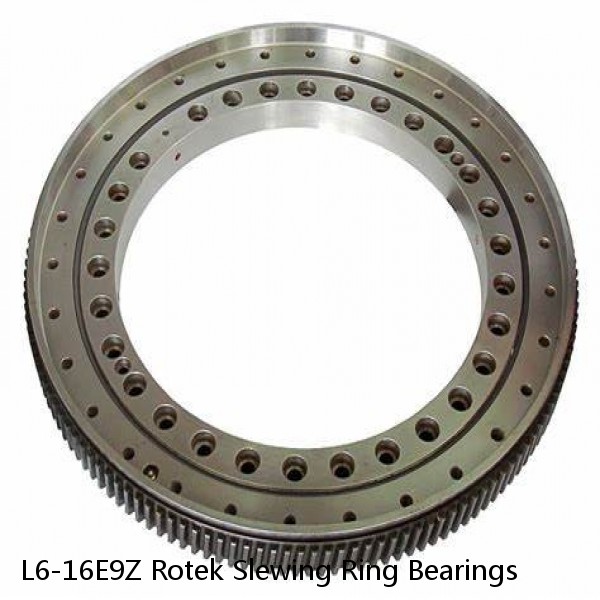 L6-16E9Z Rotek Slewing Ring Bearings