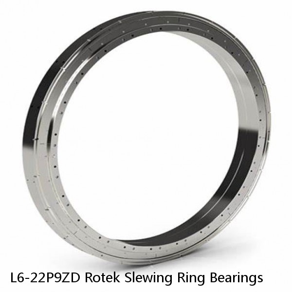 L6-22P9ZD Rotek Slewing Ring Bearings