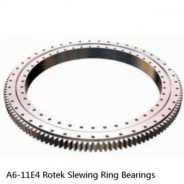 A6-11E4 Rotek Slewing Ring Bearings