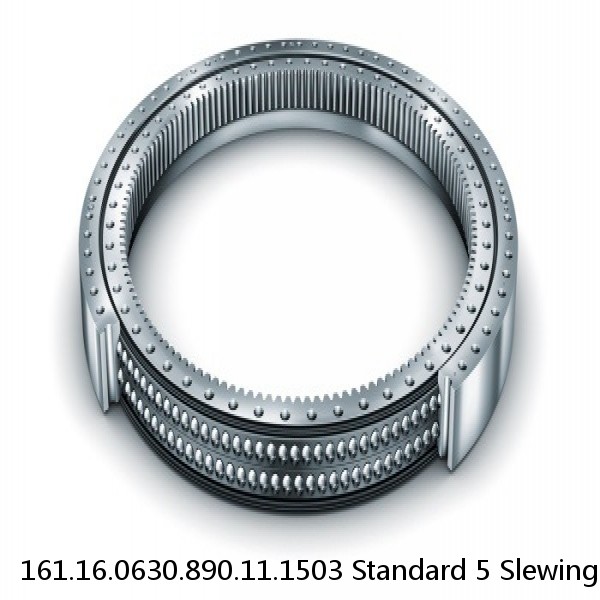 161.16.0630.890.11.1503 Standard 5 Slewing Ring Bearings #1 small image