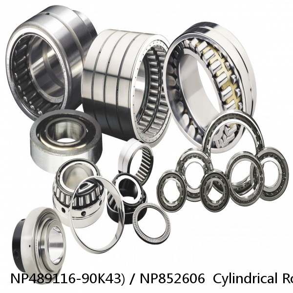 NP489116-90K43) / NP852606  Cylindrical Roller Bearings