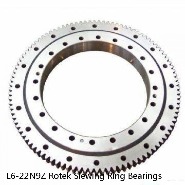 L6-22N9Z Rotek Slewing Ring Bearings #1 small image