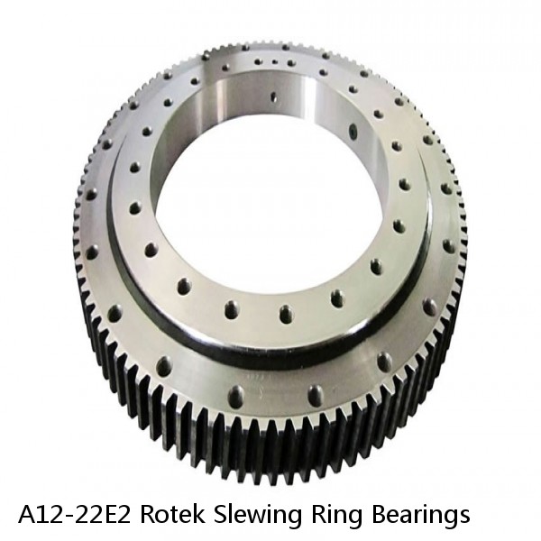 A12-22E2 Rotek Slewing Ring Bearings #1 small image