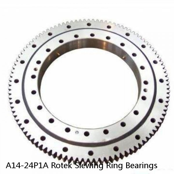 A14-24P1A Rotek Slewing Ring Bearings #1 small image