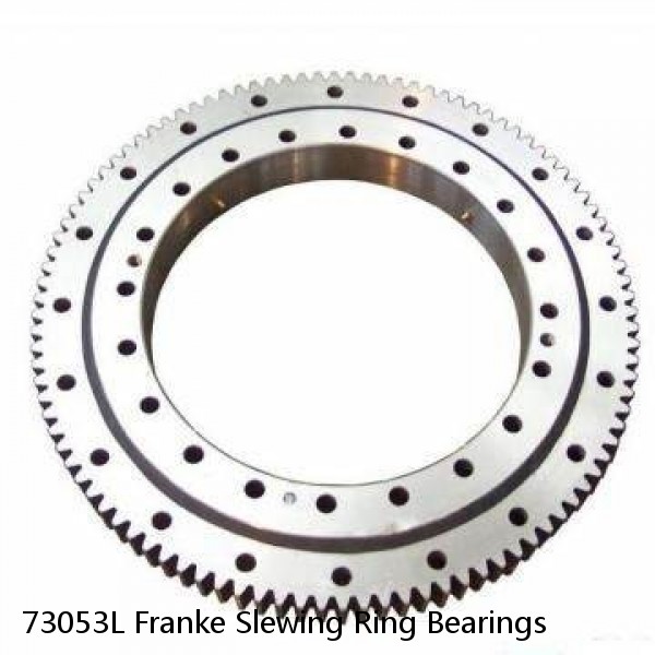 73053L Franke Slewing Ring Bearings #1 small image