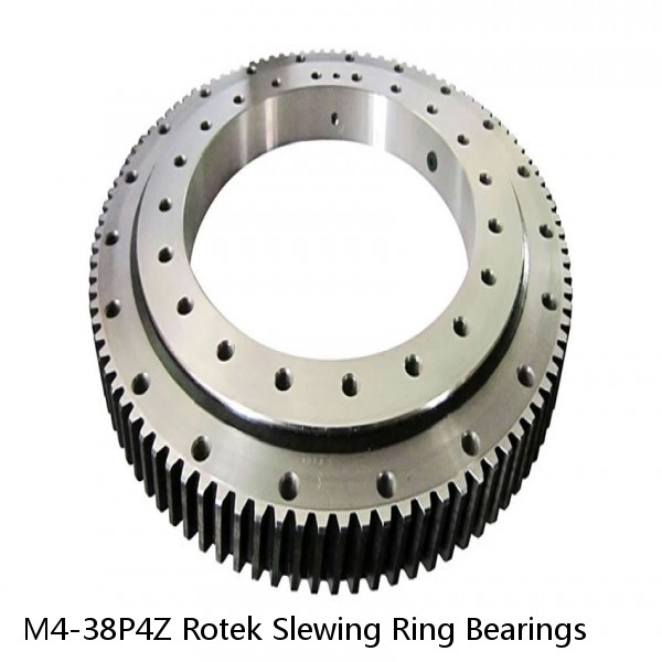 M4-38P4Z Rotek Slewing Ring Bearings #1 small image