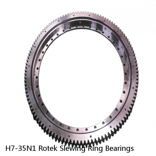 H7-35N1 Rotek Slewing Ring Bearings #1 small image
