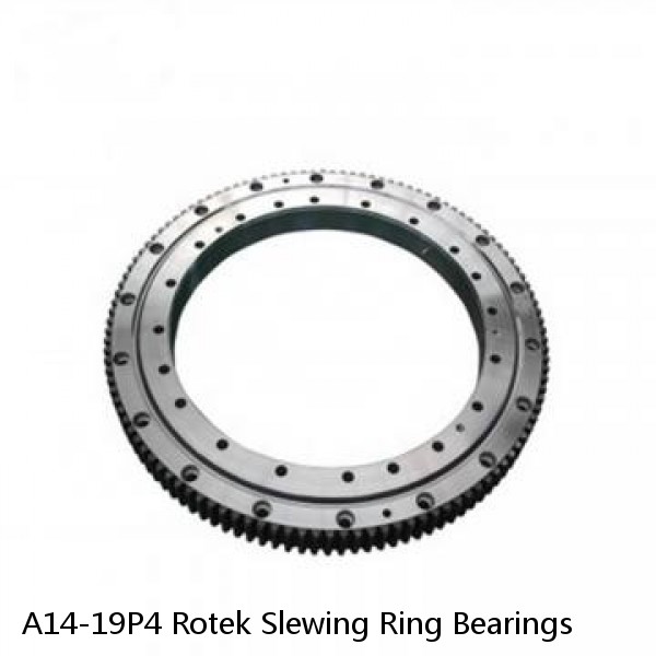 A14-19P4 Rotek Slewing Ring Bearings #1 small image