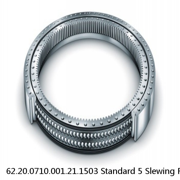 62.20.0710.001.21.1503 Standard 5 Slewing Ring Bearings #1 small image