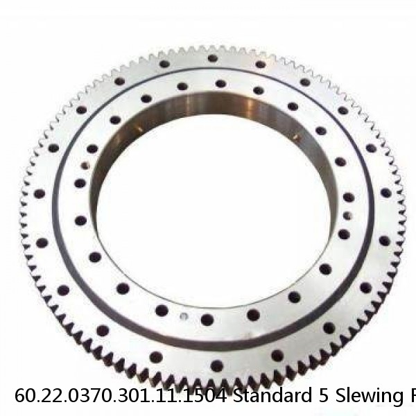 60.22.0370.301.11.1504 Standard 5 Slewing Ring Bearings #1 image