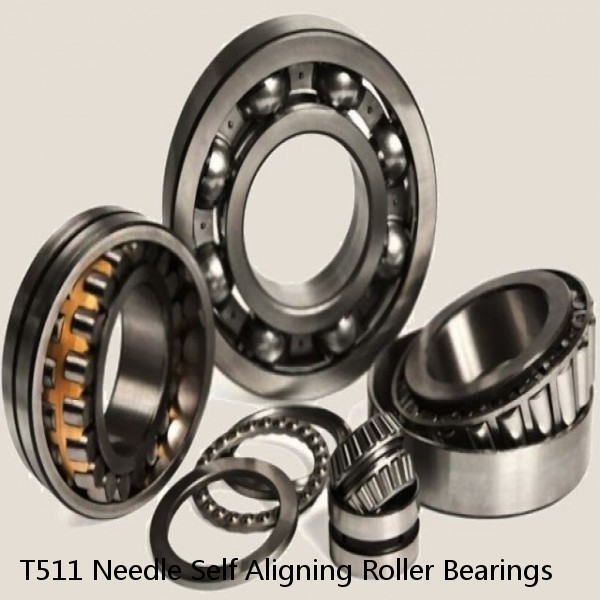 T511 Needle Self Aligning Roller Bearings #1 image