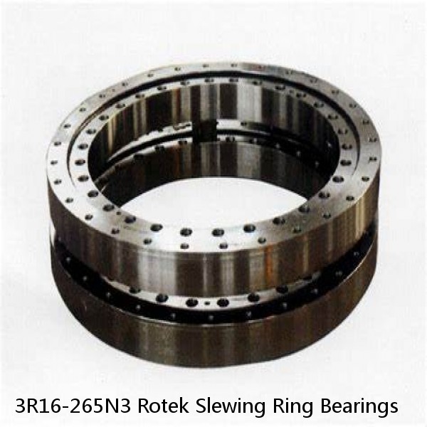 3R16-265N3 Rotek Slewing Ring Bearings #1 image