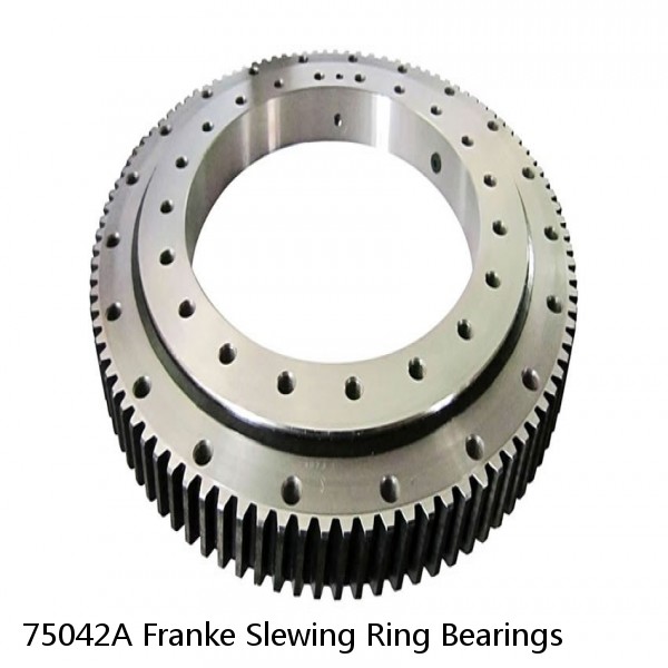 75042A Franke Slewing Ring Bearings #1 image