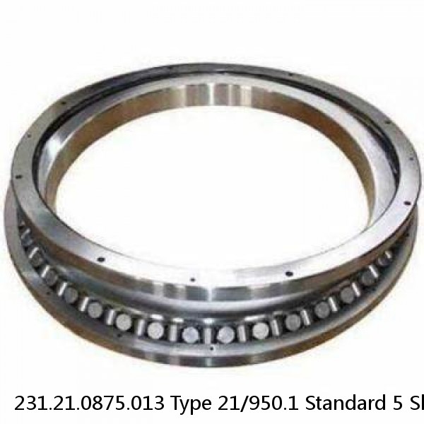 231.21.0875.013 Type 21/950.1 Standard 5 Slewing Ring Bearings #1 image