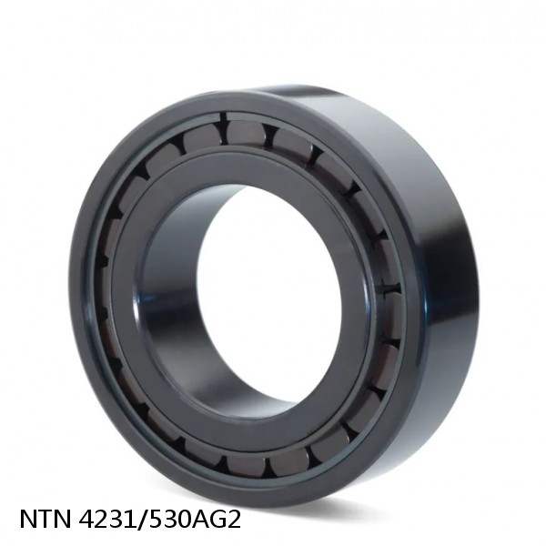 4231/530AG2 NTN Cylindrical Roller Bearing #1 image